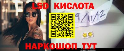 мет Кингисепп