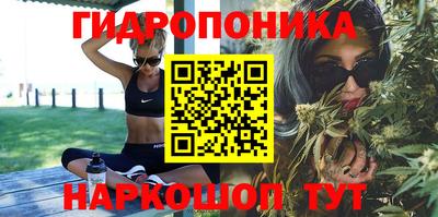 сатива Кинель