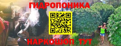 сатива Кинель