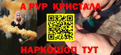 мет Кингисепп