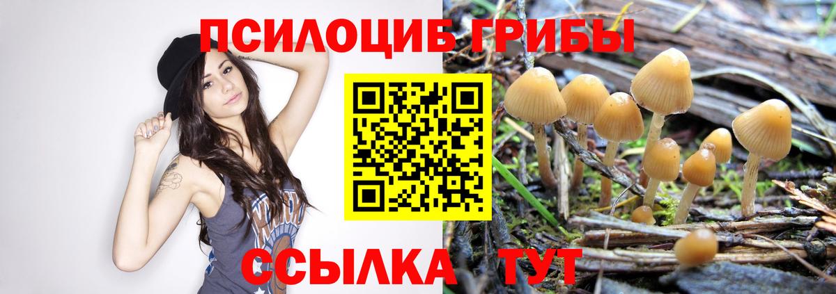 Галлюциногенные грибы прущие грибы Конаково